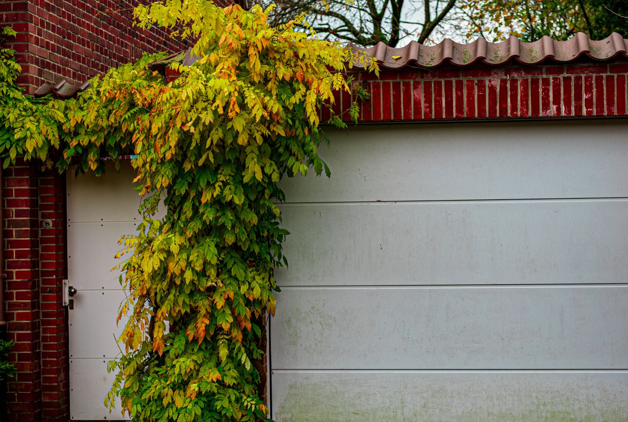 Garage door service in Cottonwood, AZ